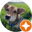 Sofia Felder profile picture